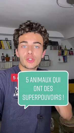 Cinq animaux aux super pouvoirs incroyables