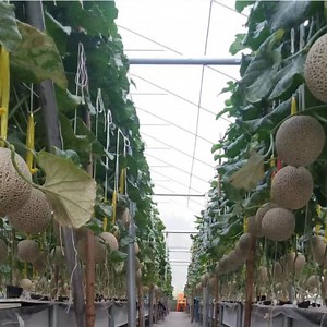 [Hot Item] Hydroponic Systems XPS Raft Hydroponic Floating Raft Floating Board