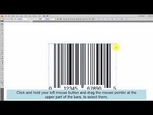 Adjust vector barcode height