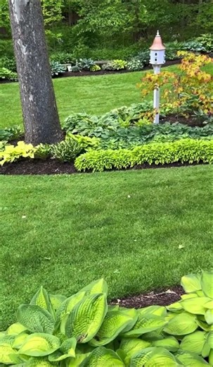 Just stop , listen and taken in this beautiful job Iron Edge Property Solutions Completed