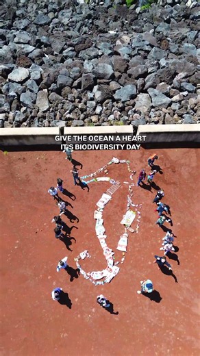 Biodiversity day