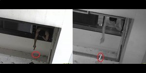 Man dealt with record-breaking fine of over $19k for high-rise littering | Coconuts