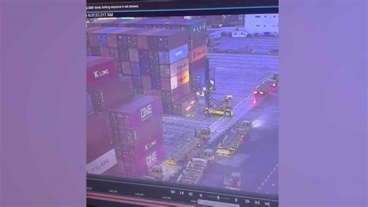 Crush terror as shipping containers smash onto docker's forklift truck