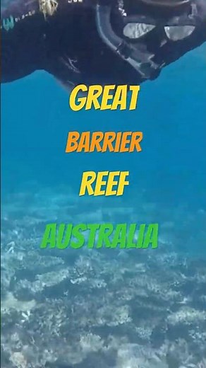 Great Barrier Reef Australia Diving and Snorkelling from Quicksilver Tour Boat