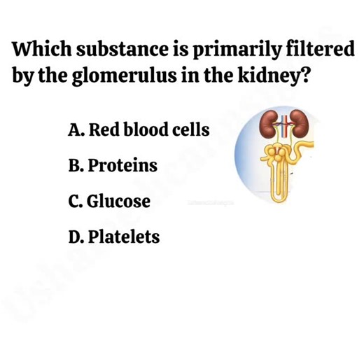 Ushasmedicalinsights on Instagram: "Comment your answer medicos #doctor #mbbs #nursing #medicine #pharmacy"