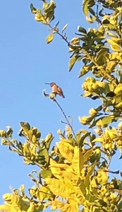 1.3K views · 347 reactions | 30 seconds to breathe. | Kim Harrison | Facebook