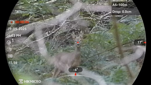 16K views · 312 reactions | Trusty 308 and hikmicro alpex 4klrf doing its thing #hikmicro #stalking #deer #Boom #deerseason2025 #deerseason HIKMICROHunting.UK&IE | Devon and Somerset Deer Management | Facebook