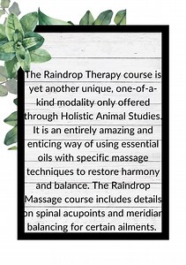 Raindrop Therapy is a technique that combines aromatherapy, light massage, and energy work to promote physical, emotional, and energetic well-being. While primarily designed for humans, it has been adapted for use with animals, including horses and dogs, and offers several potential benefits. The therapy typically involves the application of diluted essential oils along the spine or other targeted areas. Below are the key benefits for horses and dogs: 1. Physical Benefits Supports Musculoskeleta