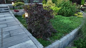 Stone Patio With Steps and LED Garden Lighting