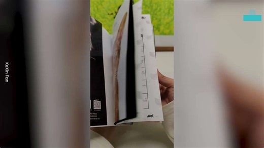 Artist Crafts Hyper-realistic Wool Felt Of A Cat