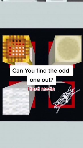 Identifying the Odd Block in Minecraft Puzzles