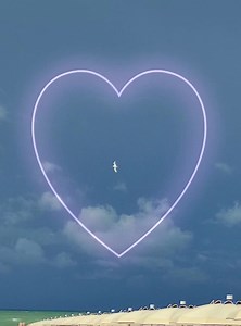 Calypso Beach on Reels