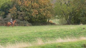 19K views · 378 reactions | *** fox escapes North Cotswold Hunt...