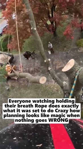 Satisfying Rigging Done Right 🌳