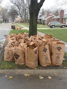 DPW Announces Yard Waste Pick-Up Dates