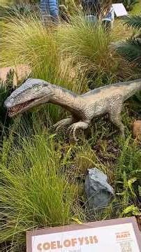 De volta à era Jurássica!! Parque Aventura Jurássica em Balneário Camboriú