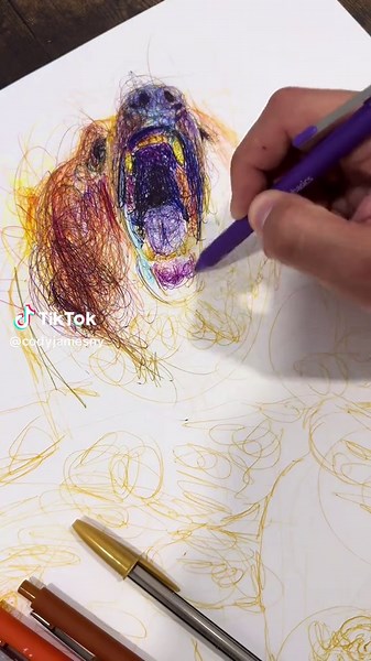 Cody James on TikTok