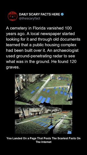 A cemetery in Florida vanished from records nearly a century ago. For decades, no one knew where the graves had gone. When a local newspaper started digging through old documents, they found something disturbing: a public housing complex had been built over the forgotten burial ground. An archaeologist brought out ground-penetrating radar to verify the suspicions. The scans revealed 120 graves buried beneath the buildings—men, women, and children whose resting place had been paved over and erase