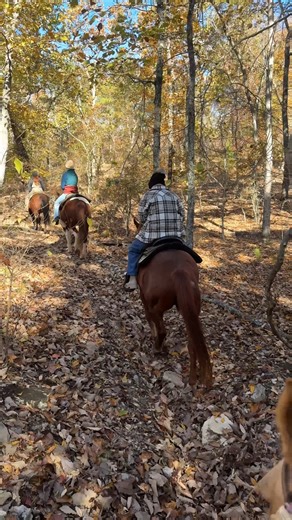 A guided ride at Roosevelt Stables offers a quiet journey through the woods, where the only sounds are the wind in the trees, the rustle of wildlife, and the steady beat of hooves on the trail. It’s an immersive way to slow down and truly soak in the landscape. 🐴 | Explore Harris County, GA