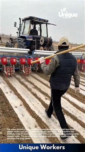 Tractor Laying Plastic Mulch and Planting Seeds Simultaneously