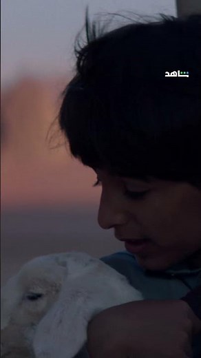 فيلم شهد | يعرض الآن | شاهد