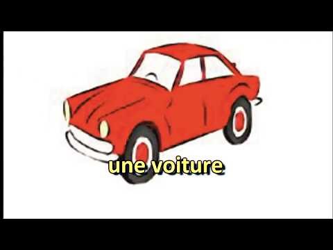 Francés: Vocabulario Básico. Primeras Palabras