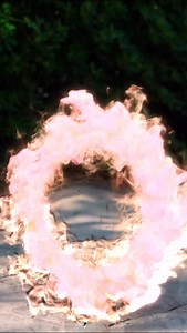 7.2K views · 3.3K reactions | If you meet someone “EVIL” on your path, you know what to do  | Puppy Jay & Doxie Din | Facebook