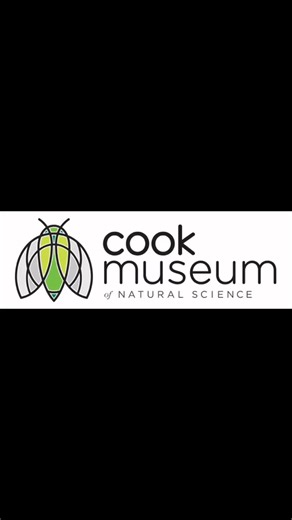 Today at the Cook Museum in Decatur, RenV students explored the food cycle through hands-on activities and exhibits. They examined animal skulls, learned how energy moves through living things, and met some of the museum’s animal ambassadors to see how species are connected. To finish the day, students dissected owl pellets, discovering firsthand how food webs and food chains function in real ecosystems—and even got to keep the bones they found as a reminder of their experience! #cookmuseum #ren