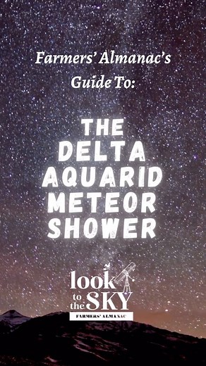 13K views · 337 reactions | Catch a shooting star this week!  The...