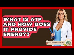 What Is ATP And How Does It Provide Energy? - Your Nutrition Network