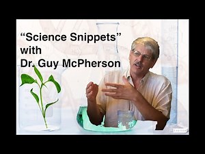 Science Snippets: Has the "Methane Bomb" Been Triggered?