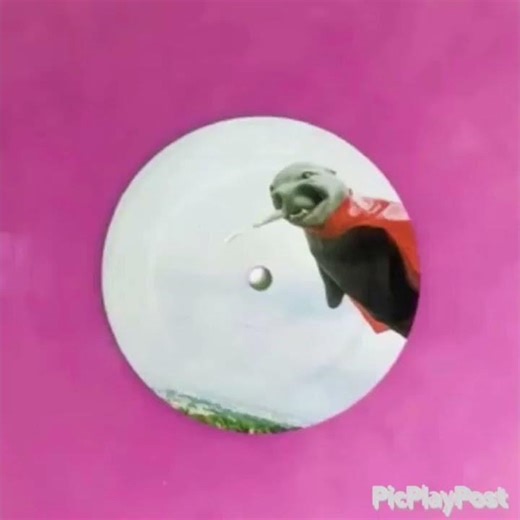 Scratch Program Logo