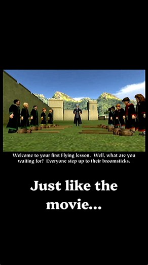 Harry Potter and the Sorcerer’s Stone #HarryPotter #Hogwarts #WizardingWorld #PotterHead #Quidditch