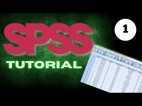 SPSS Course - Data Preparation (FREE SPSS COURSE)
