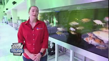 PCN Tours takes you inside of Pennsylvania factories, manufacturing plants, and even laboratories!  Watch the PCN Tours marathon all week long. View the schedule: https://pcntv.com/schedule/?d=0 | Pennsylvania Cable Network | Facebook