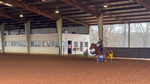 12.27.25 BARGAINS SUGAR BOY We are at the 90 day mark, about 50 days on the pattern. We went to town and he handled things well by our last exhibition. #MagnoliaFarm | Magnolia Farm