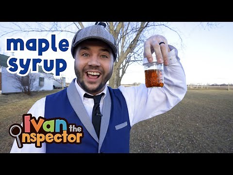 Ivan Inspects Maple Syrup | Fun and Educational Videos For Kids