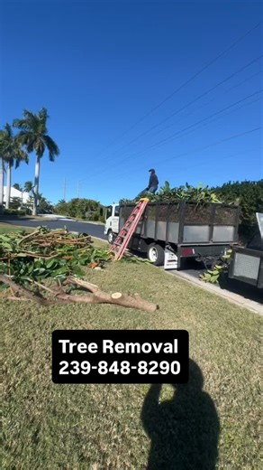 #landscape #astroturf #turf #tree #trees | Express Landscaping & Tree Service