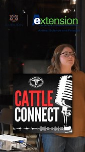 16 reactions | Beef cattle management still matters and no one knows that better than Alabama Extension Beef Cattle Specialist, Dr. Maggie Justice. She joined Cattle Connect to share the management insight and research vision driving our work forward. ️ Catch the full episode: https://www.bamabeef.org/p/about/cattle-connect-podcast | Alabama Beef Systems Extension | Facebook