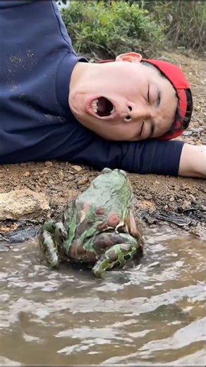 Frog Attack 🐸🐸