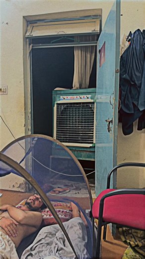 Veterinarian Insights: Care Tips and Experiences