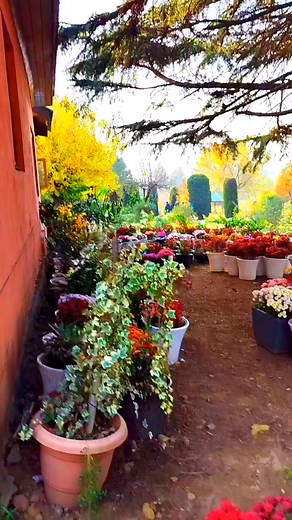 38K views · 5.3K reactions | Mesmerizing view | Islam The Reality | Facebook