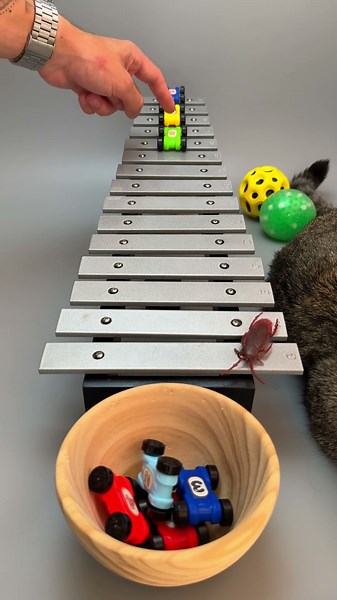 Metal Keys Rhythm – Balls on Silver Xylophone