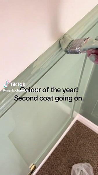 Soulful Sage paint colour for paneling: modern green finish