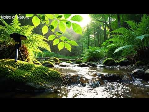 Relaxing Nature Sounds for Sleeping - Natural Calm Forest Waterfall Music Meditation Sound for Study