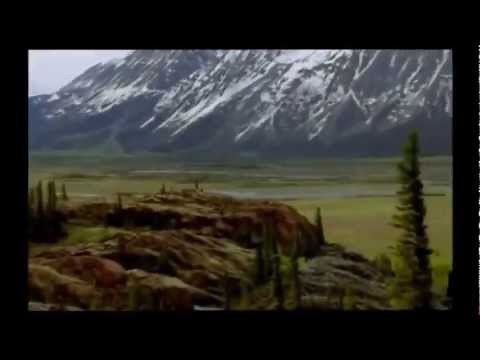 Neanderthals Hunting