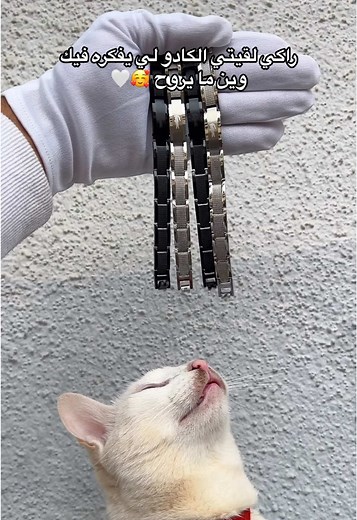 Bracelet LACOSTE: Élégance et Style