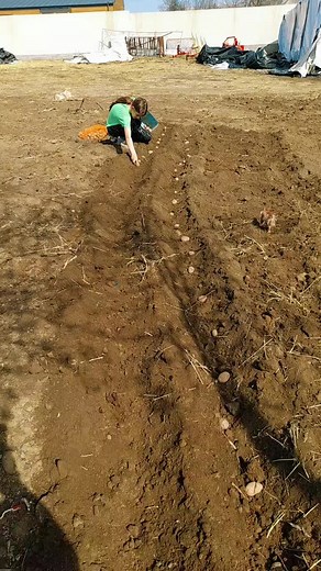 Gardening with Kids: Fun Planting Activities