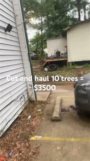 TREE REMOVAL COST!!