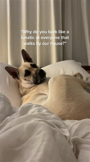 Devin Brugman on TikTok